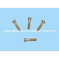 Bronze Bolts Brass Screw Copper Screw/Special Fastener